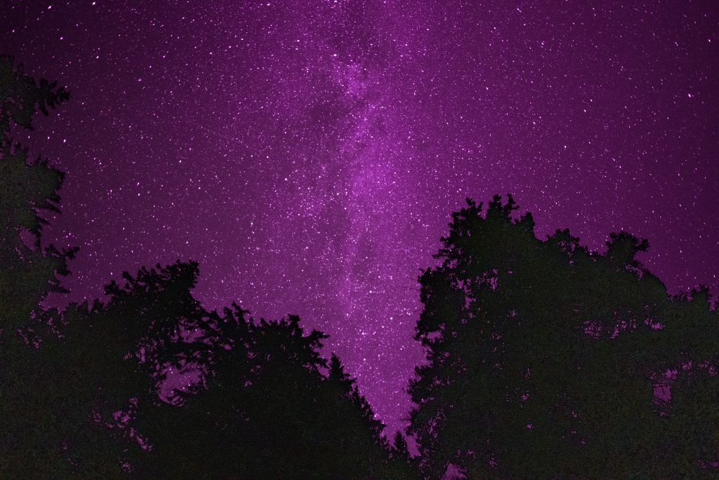6-DSC_1816
