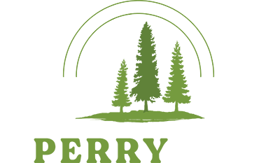PerryAir