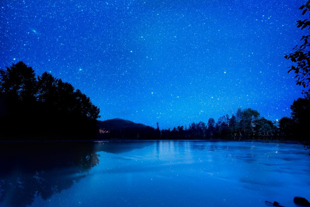 Ripples form on the water's surface.